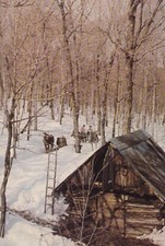 Postcard canada quebec for sale  Valrico