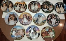 sheltie shetland sheepdog for sale  Clearlake