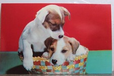 Animal dog puppy d'occasion  Expédié en Belgium
