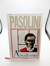 Amado mio pasolini usato  Italia