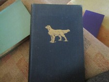 1949 best dogs for sale  DARLINGTON