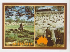 Mustering sheep for d'occasion  Expédié en Belgium