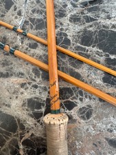 Hardy palakona taupo for sale  ANTRIM