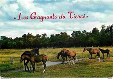 Animaux chevaux gagnants d'occasion  Fruges