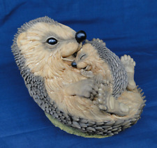 Country artists hedgies for sale  PERTH