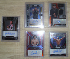 Panini prizm wwe gebraucht kaufen  Hamburg