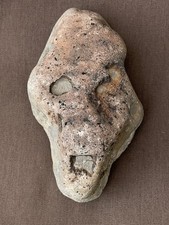 Ancient fossil scary for sale  Lakewood