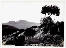 Italia, Capri da Massa Vintage print,  Tirage albuminé  19,5x26,5  Circa 1 comprar usado  Enviando para Brazil