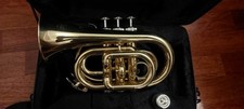 Pocket trumpet roy usato  Villanova di Camposampiero