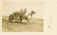 Horse cart antique for sale  Deming