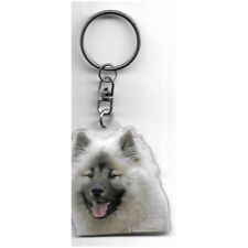 Eurasier chien porte d'occasion  Concarneau