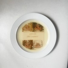 Porzellan rosenthal wandteller gebraucht kaufen  Krefeld