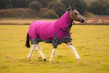 Raspberry grey turnout for sale  LONDON