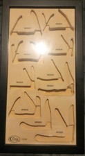 Case dealer display for sale  Cumberland Gap
