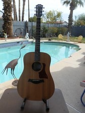 Taylor big baby for sale  Scottsdale