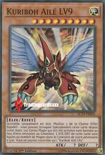 Kuriboh ailé lv9 d'occasion  Argenteuil