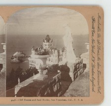 Cliff house seal for sale  Bolton