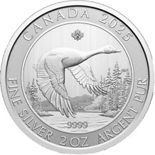 Kanada 2025 goose gebraucht kaufen  Borgholzhausen