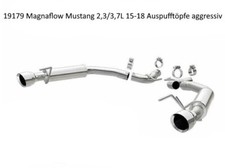 Magnaflow sportauspuff 19179 gebraucht kaufen  Eitorf