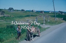 Slide 35mm 3 crianças e 2 cães - década de 1950 (Borda Vermelha) comprar usado  Enviando para Brazil