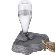Accessories bearded dragon for sale  WORCESTER