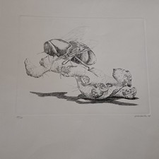 Gino guida acquaforte usato  Vestone