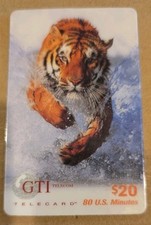 20. close bengal for sale  Seffner