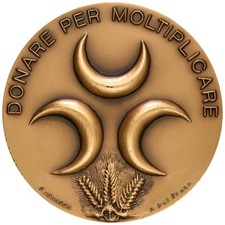 Medaglia fondazione comunità usato  Italia