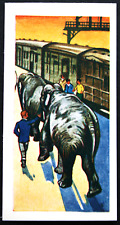 Circus elephant railway for sale  DERBY