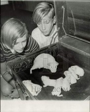 1969 press photo for sale  Memphis
