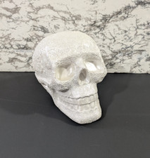 Decorative skull textured for sale  San Fernando