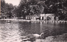 Lyon parc tete d'occasion Lyon parc tete d'occasion  France