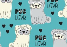 Cute pug puppy for sale  SELBY