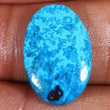 9.20 carat. naturel d'occasion  Expédié en France