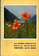 Flora protetta nella usato  Trento