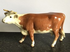 beswick cattle for sale beswick cattle for sale GLASGOW