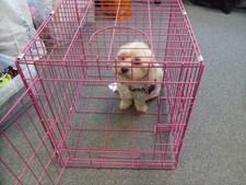 Easipet pink small for sale  UXBRIDGE