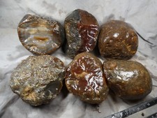 Brazilian agate rough for sale  Hood River