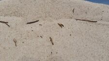 Sand strand leba gebraucht kaufen  Detmold