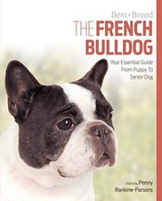 French bulldog best for sale  UK