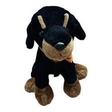 Anico intl rottweiler for sale  Raleigh