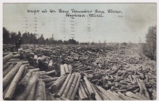MICHIGAN ALPENA LOGS ON OX BOW THUNDER BAY RIVER 1915 TO WOLCOTT, MT CLEMENS comprar usado  Enviando para Brazil