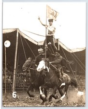 Vintage photo circus for sale  Elk Grove