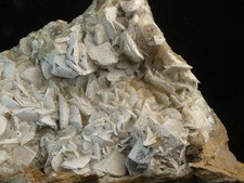 Calcite aile anges d'occasion  Bas-en-Basset