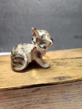 tabby cat for sale tabby cat for sale Tonawanda