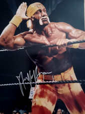 Hulk hogan original d'occasion  Expédié en Belgium