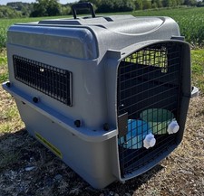 Petmate pet dog for sale  STOWMARKET