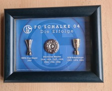 Pinrahmen schalke erfolge gebraucht kaufen  Knüllwald