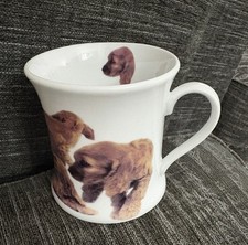 Leonardo collection spaniel for sale  ALTRINCHAM