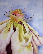 multiple paintings beautiful for sale multiple paintings beautiful for sale Peoria